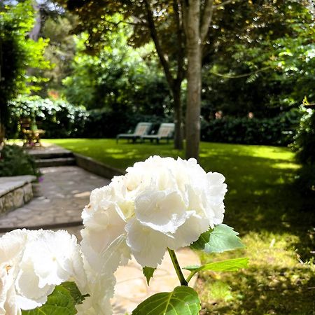 Apartment Balthazar โรวีน ภายนอก รูปภาพ