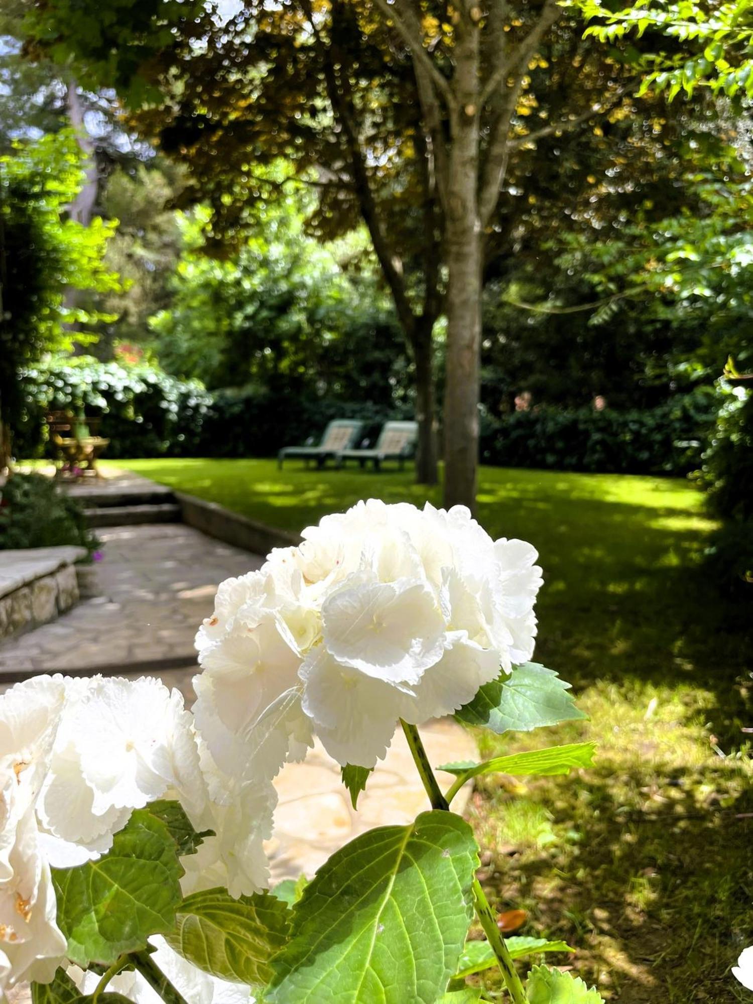 Apartment Balthazar โรวีน ภายนอก รูปภาพ